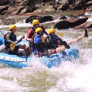 Meet your Posher, Lee